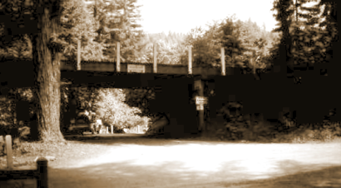 1950 View_of_Hobson_Creek_Bridge_construction_from_below(2)
